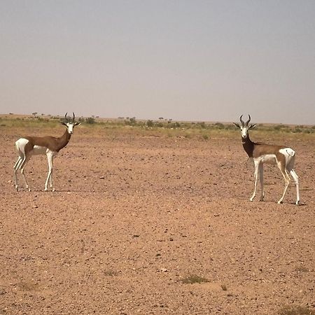 Bivouac La Dune Blanche Мхамид Экстерьер фото