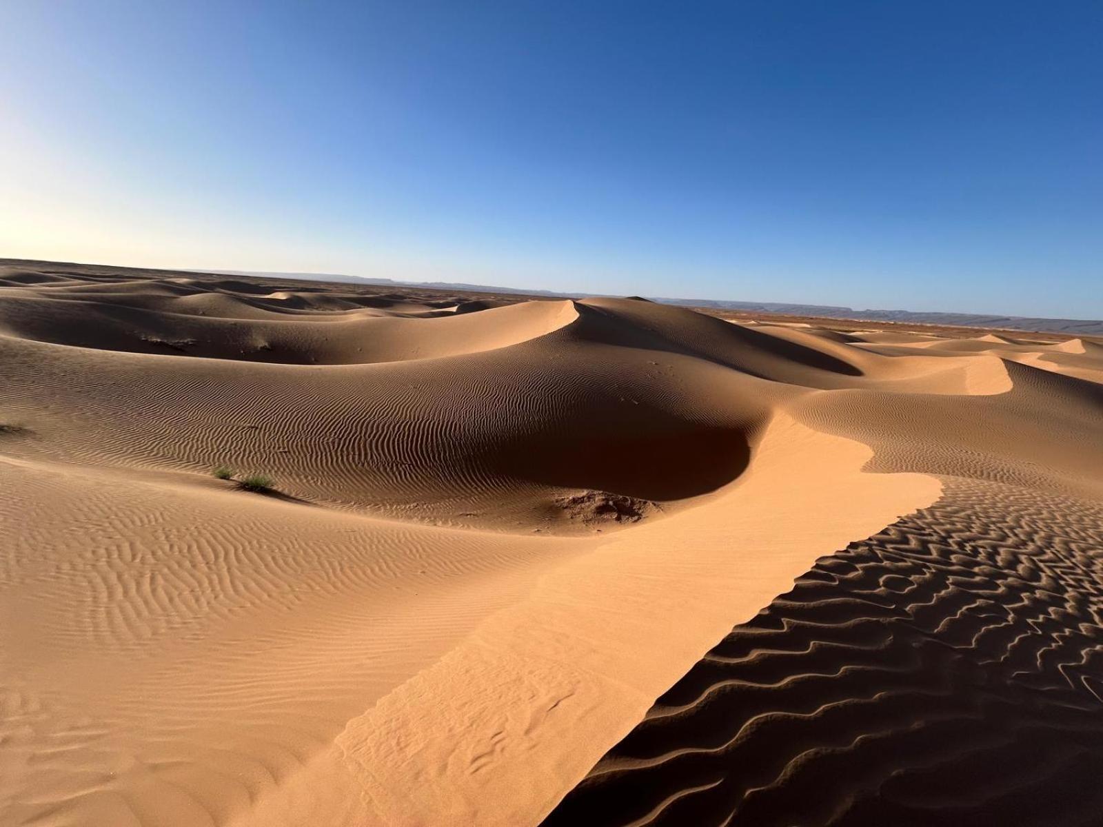 Bivouac La Dune Blanche Мхамид Экстерьер фото